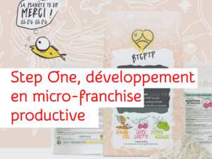 Landestini Incubateur StepOne Landestini Incubateur StepOne