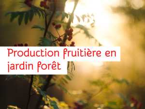 Landestini Incubateur Forêt Landestini Incubateur Forêt