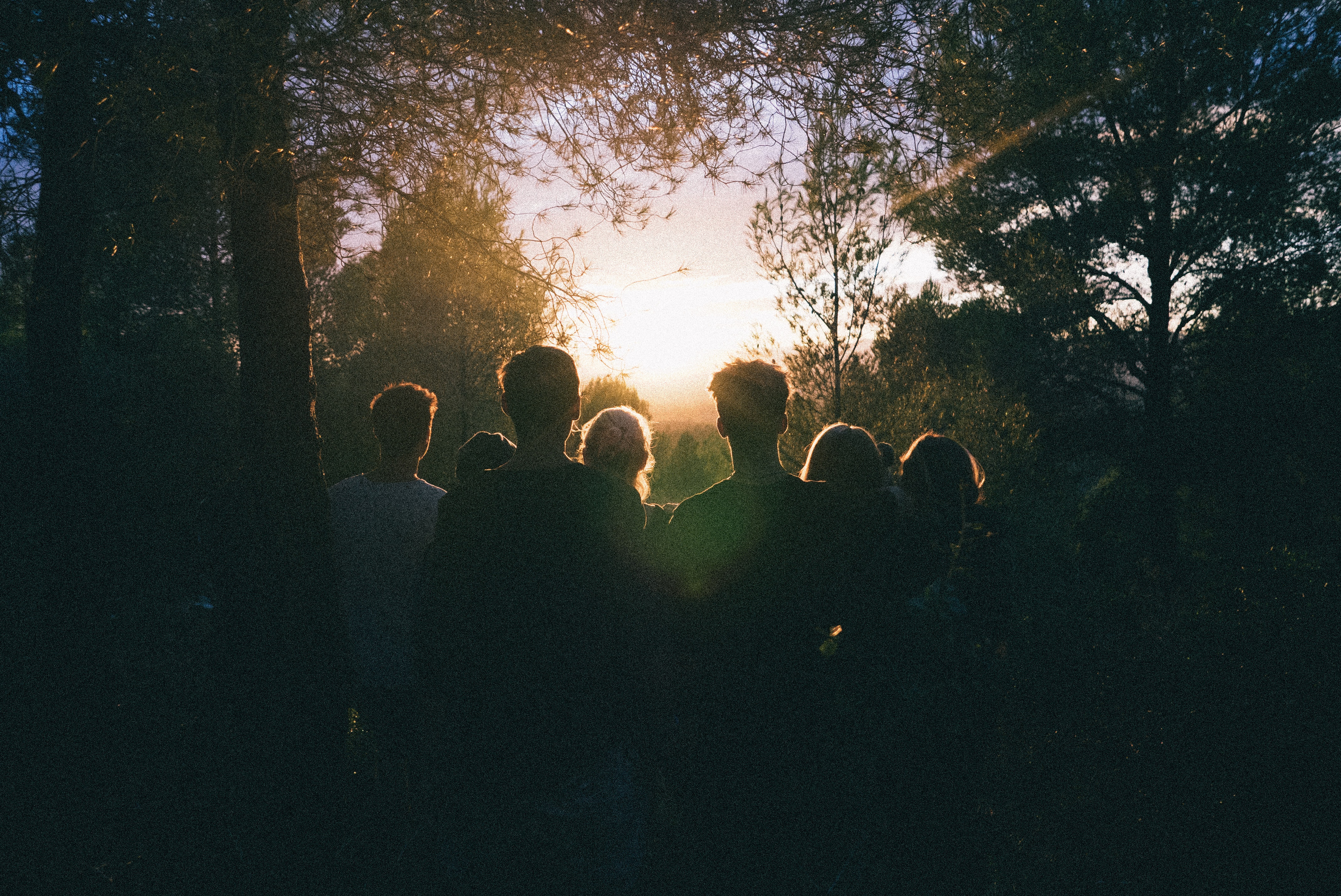daan-stevens-KSdfplrJreg-unsplash groupe dans la foret soleil arriere plan