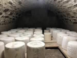 La petite Laiterie Landestini Cantal Auvergne Incubateur