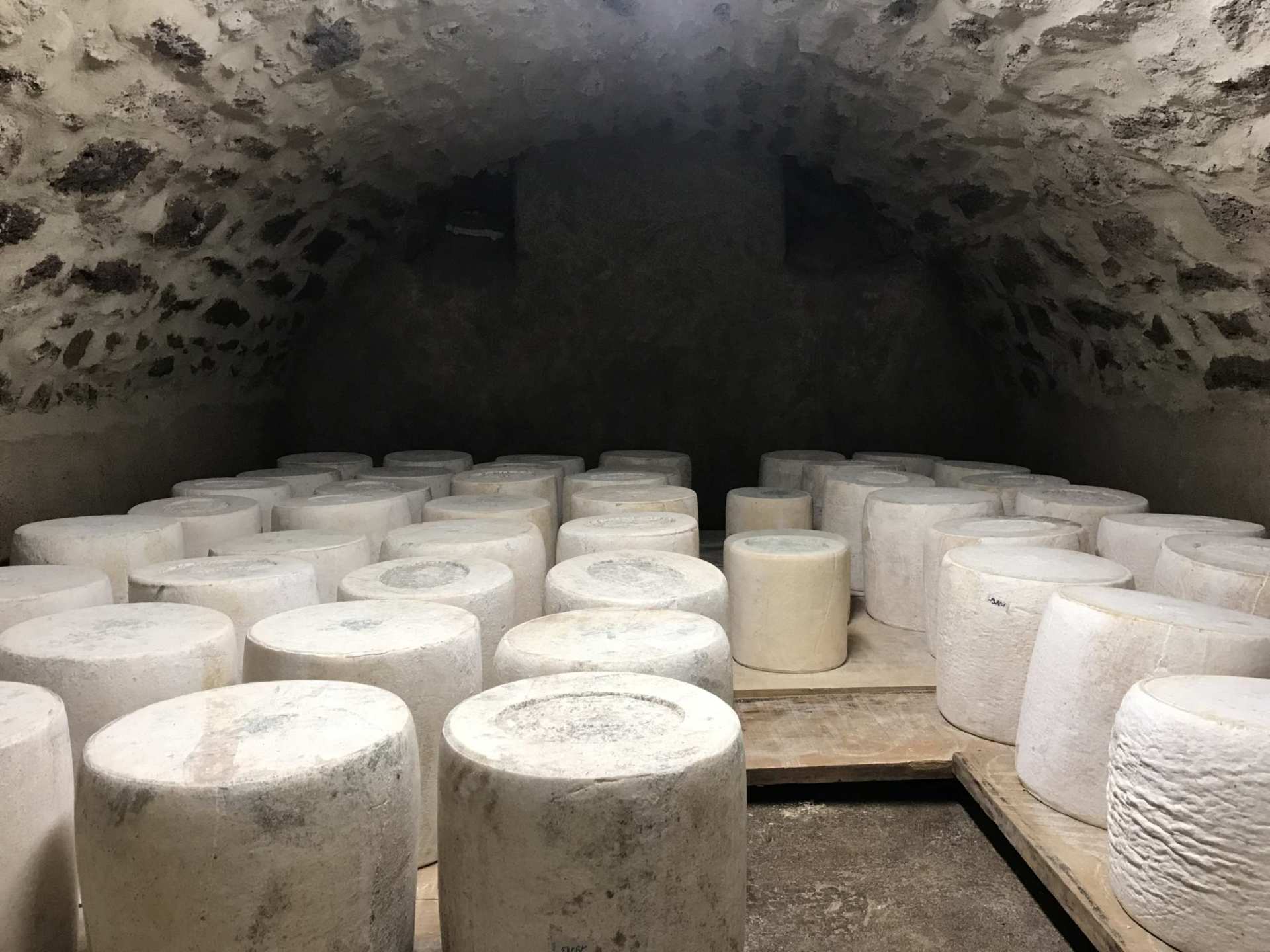 La petite Laiterie Landestini Cantal Auvergne Incubateur