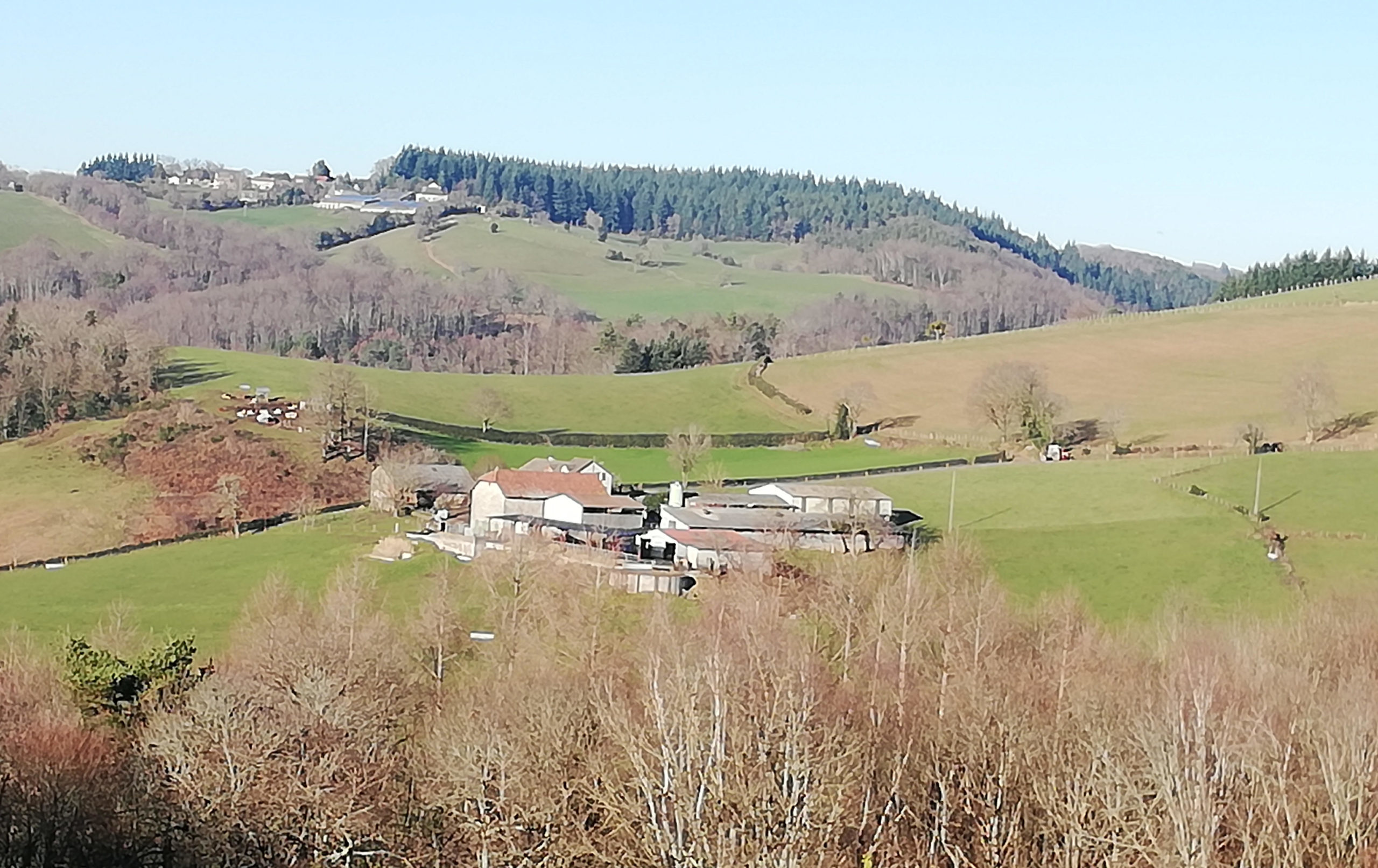21_Incubateur Landestini_Violaine2 ferme de la Roumiguière
