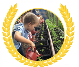 vignette enfant auréoles
