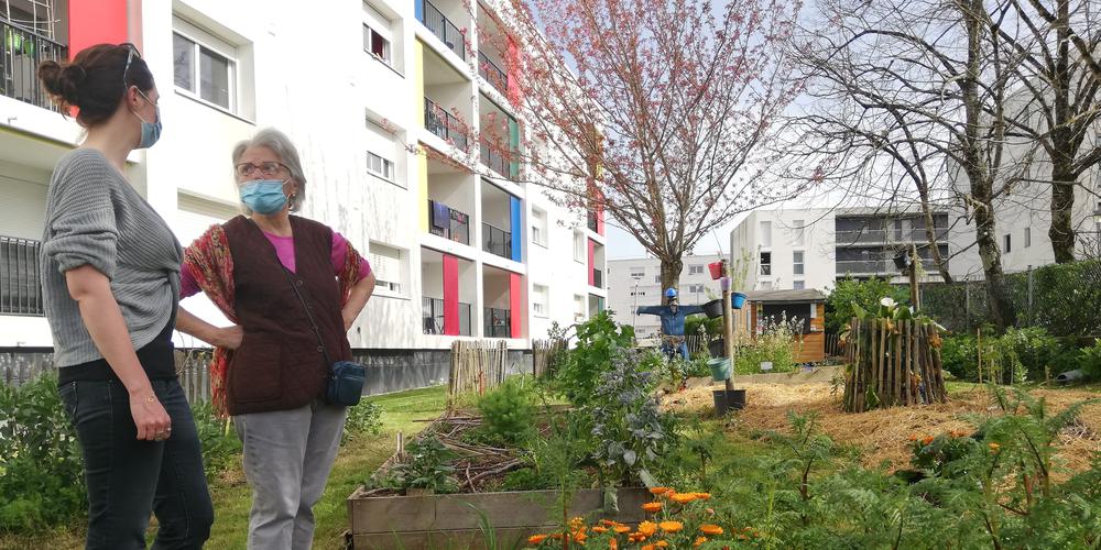 SUD-OUEST – À Royan, le jardin partagé de Marne-Yeuse rapproche les habitants