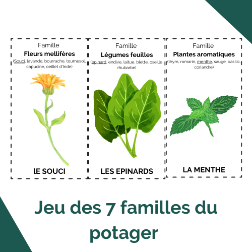 jeu des sept familles