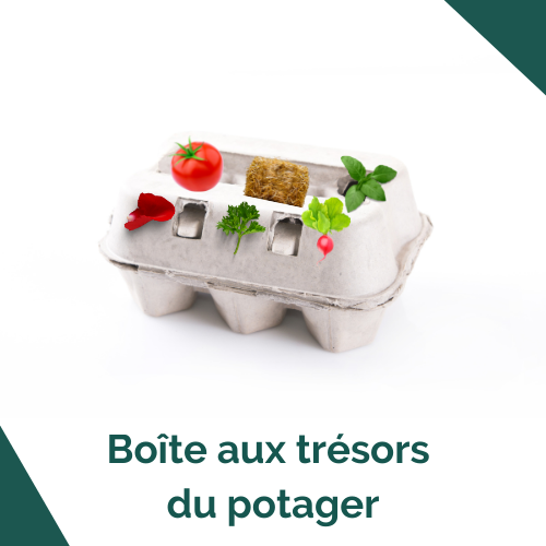 Boite au trésors du potager