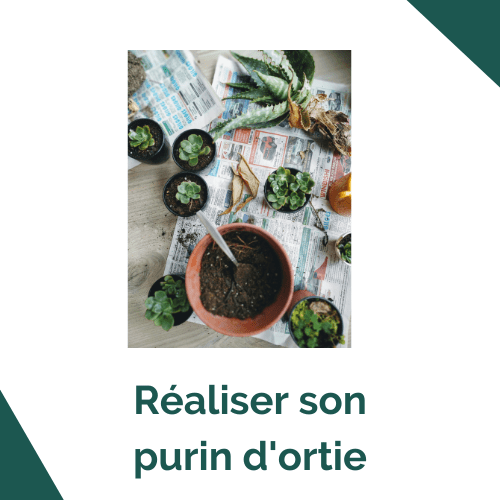 Réaliser son purin d'ortie