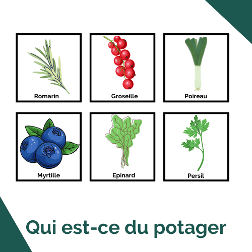 Qui est-ce du potager