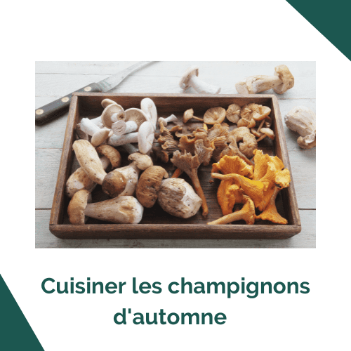 Cuisiner les champignons de d'automne