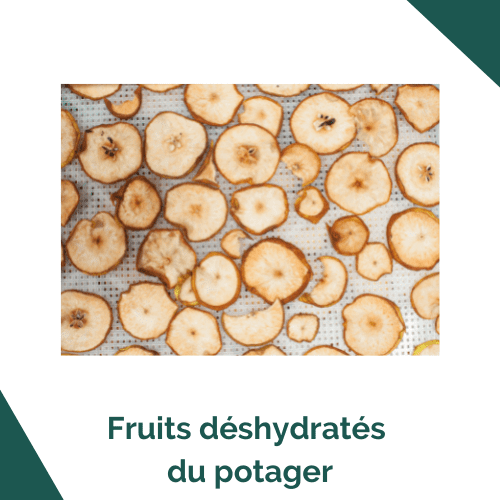 Fruits déshydratés du potager