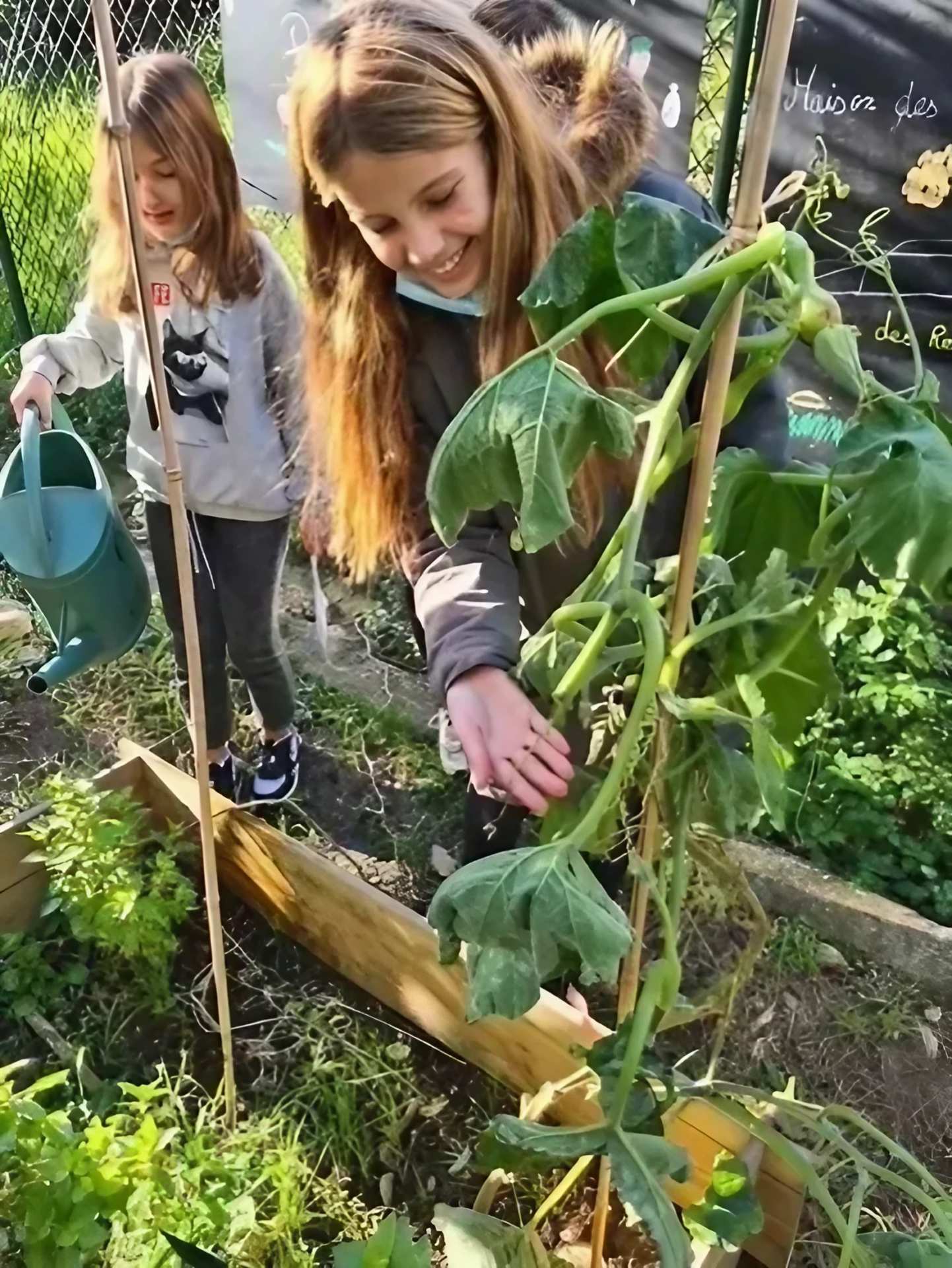 Two girls watering the vegetable garden with watering cans