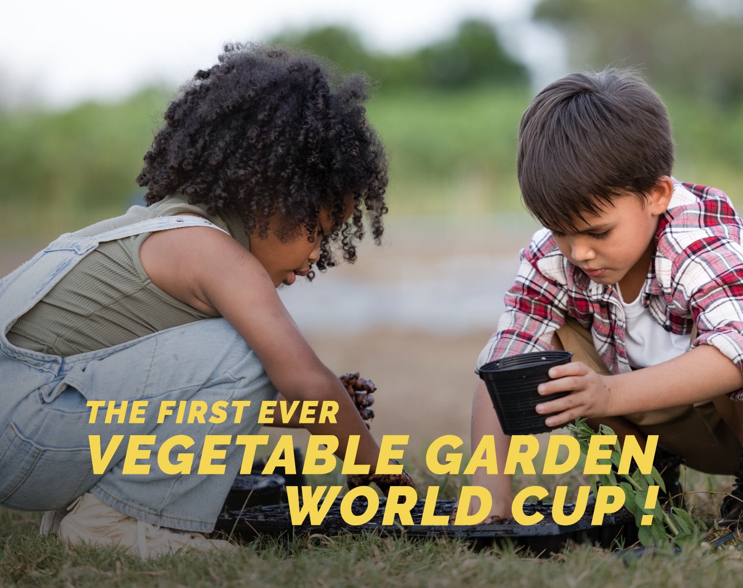 The first vegetable garden world cup