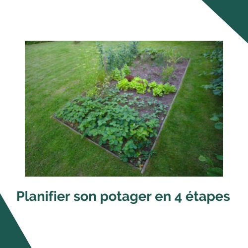 Planifier son potager en 4 étapes