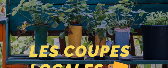 Découvrez les coupes locales du potager