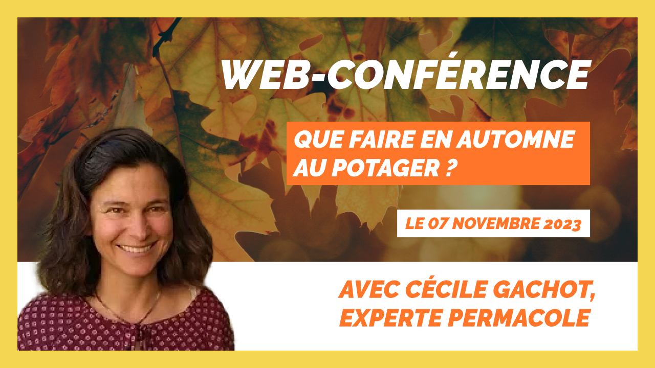 web-conférence - Que faire en automne au potager ?