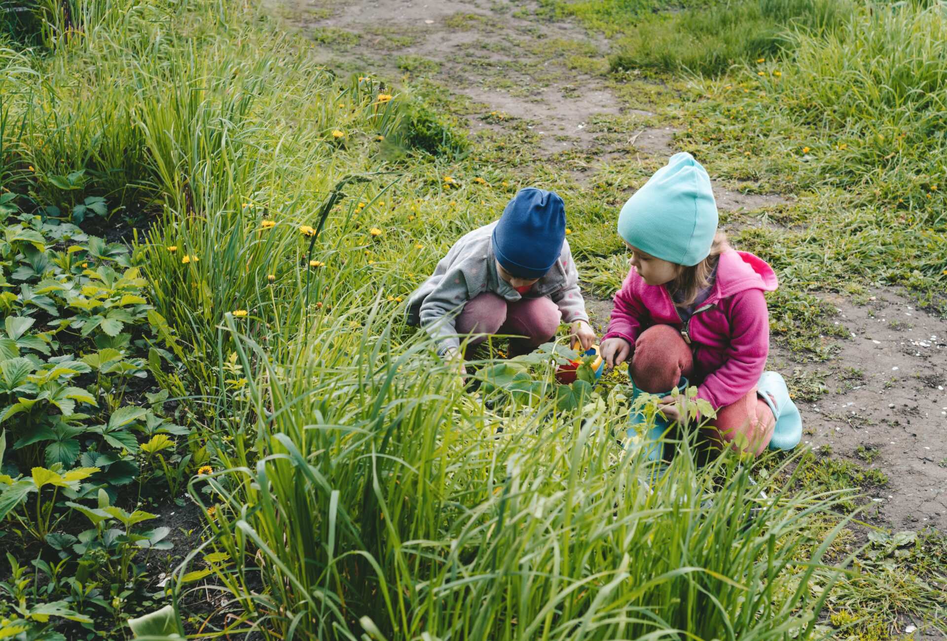Children look at vegetable seedlings in the garden