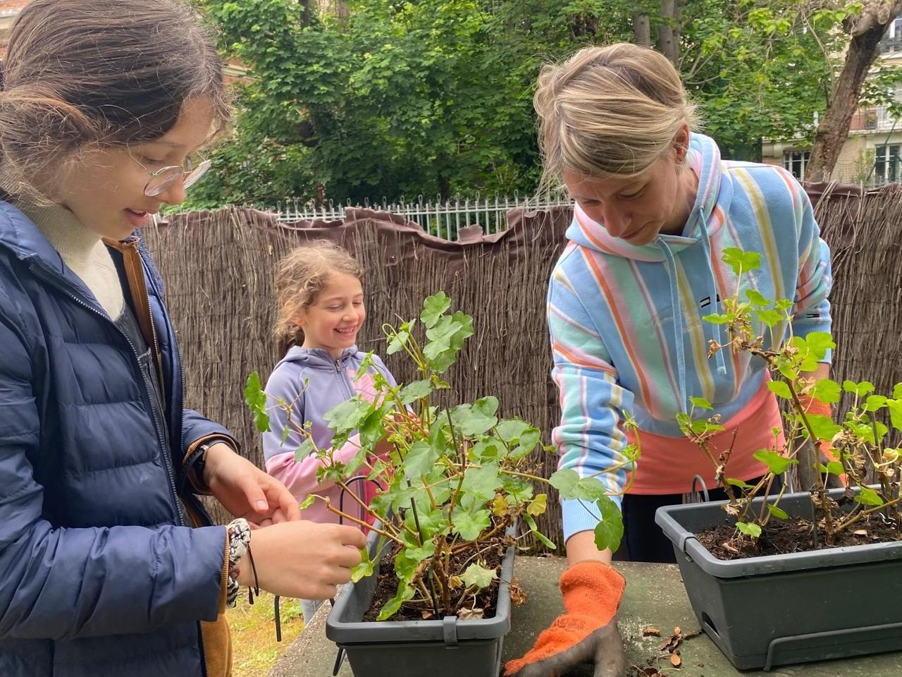 Des élèves plantent des semis dans les bacs du potager de leur école