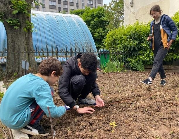 Un enfant et un adulte plantent des semis dans un potager urbain